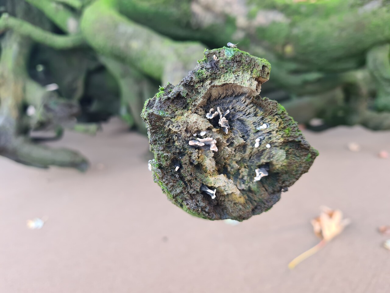 Listening at an Angle